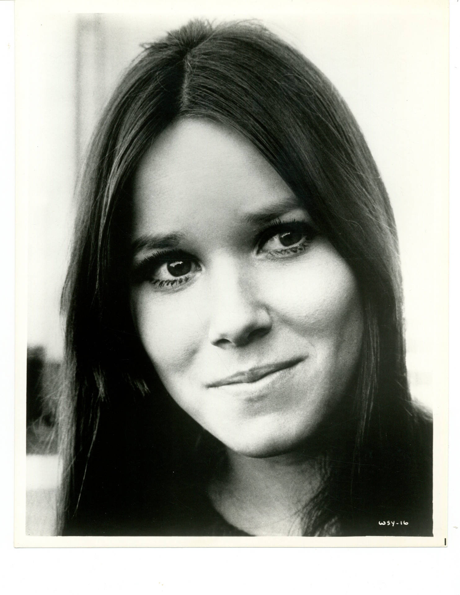 Barbara Hershey In With Six You Get Eggroll Wallpaper
