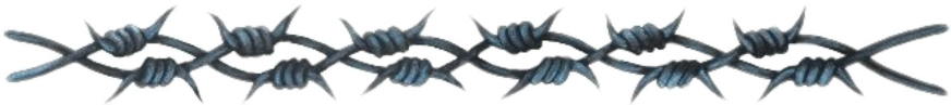 Barbed Wire Barrier PNG