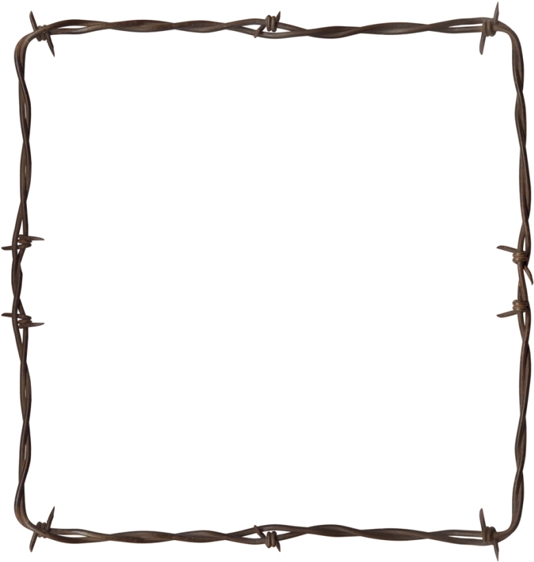Barbed Wire Frame Border PNG