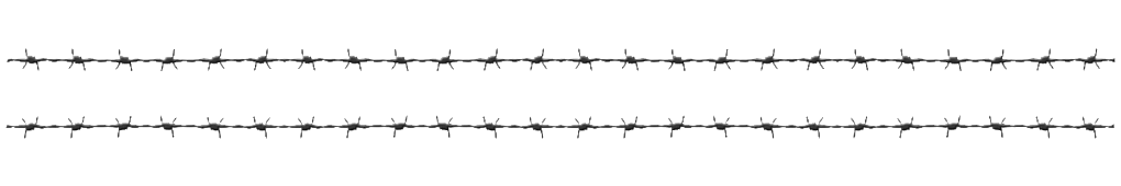 Barbed Wire Security Barrier PNG — Two parallel rows of black barbed wire stretch horizontally against a stark white background.