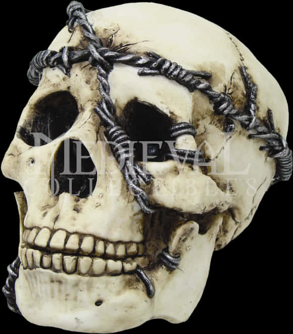 Barbed Wire Skull Decor PNG