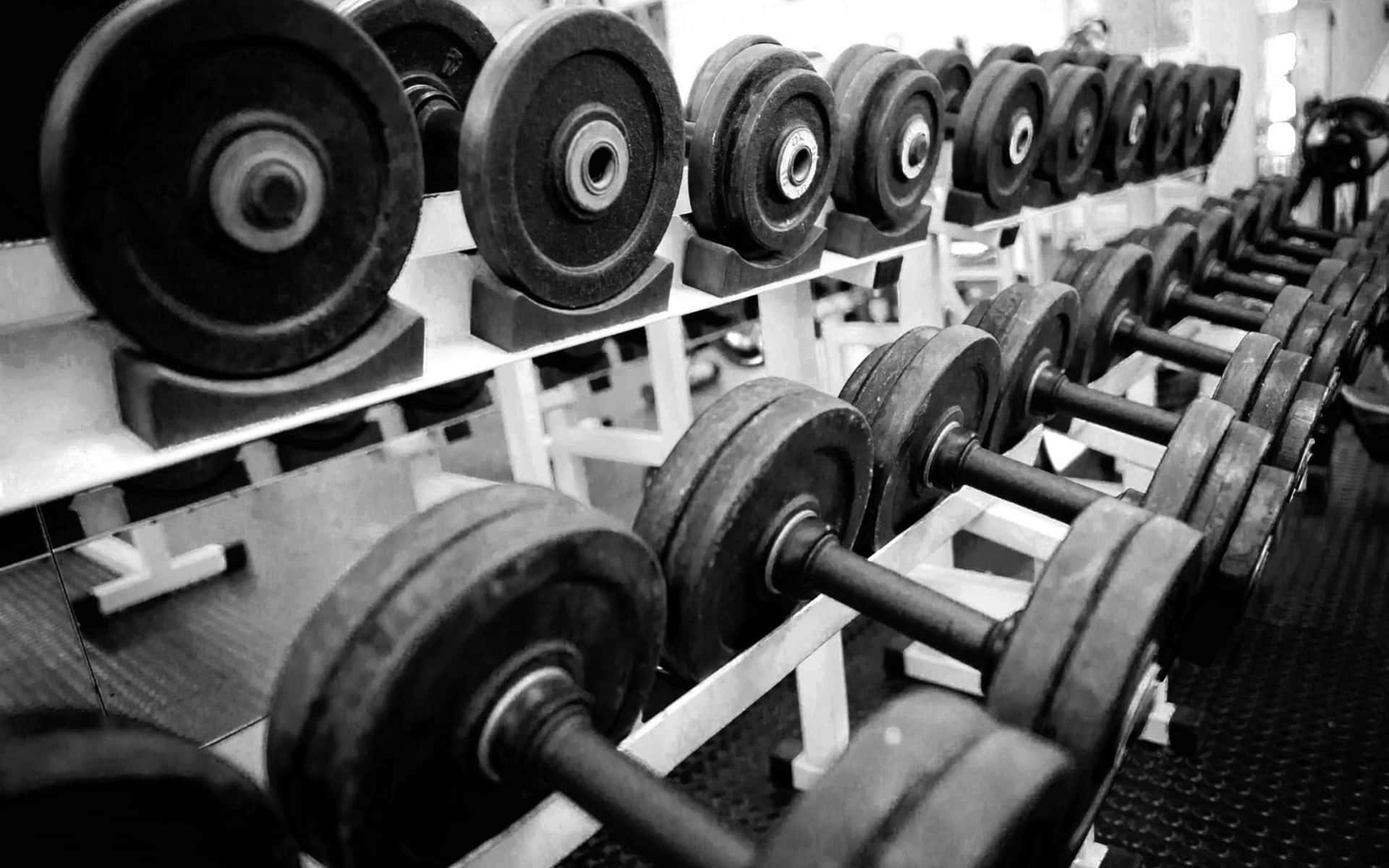 barbell black and white