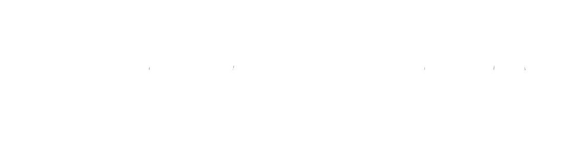 Barbwire Bunkhouse Logo PNG