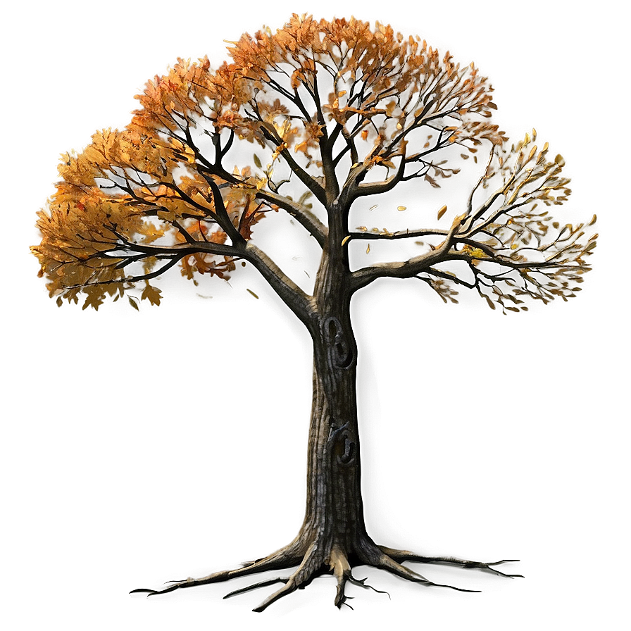 Bare Autumn Tree Png 73 PNG