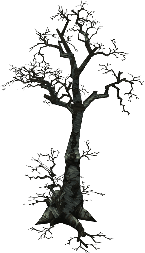 Bare Branches Dead Tree PNG