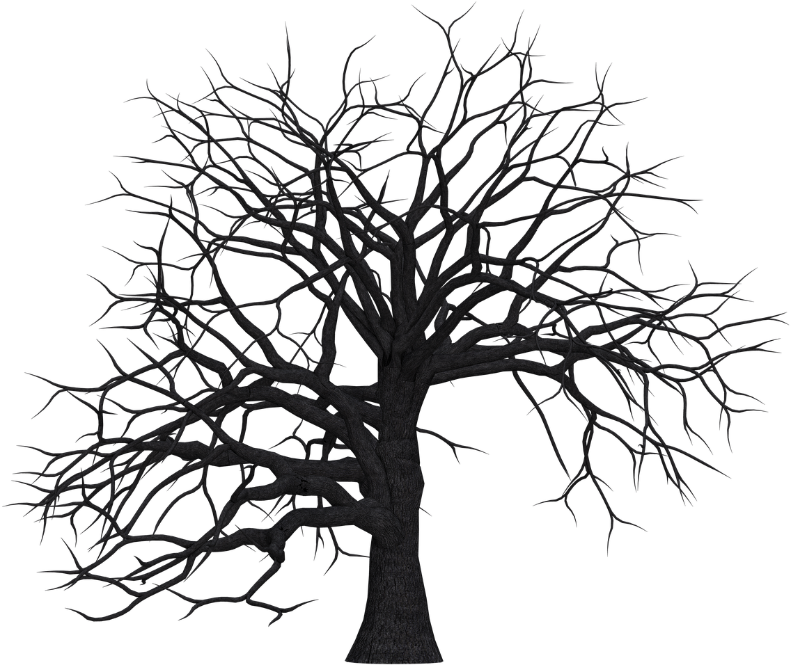 Bare Branches Silhouette PNG