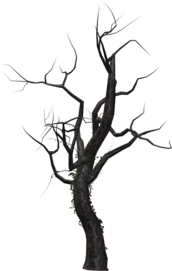 Bare Branches Silhouette PNG