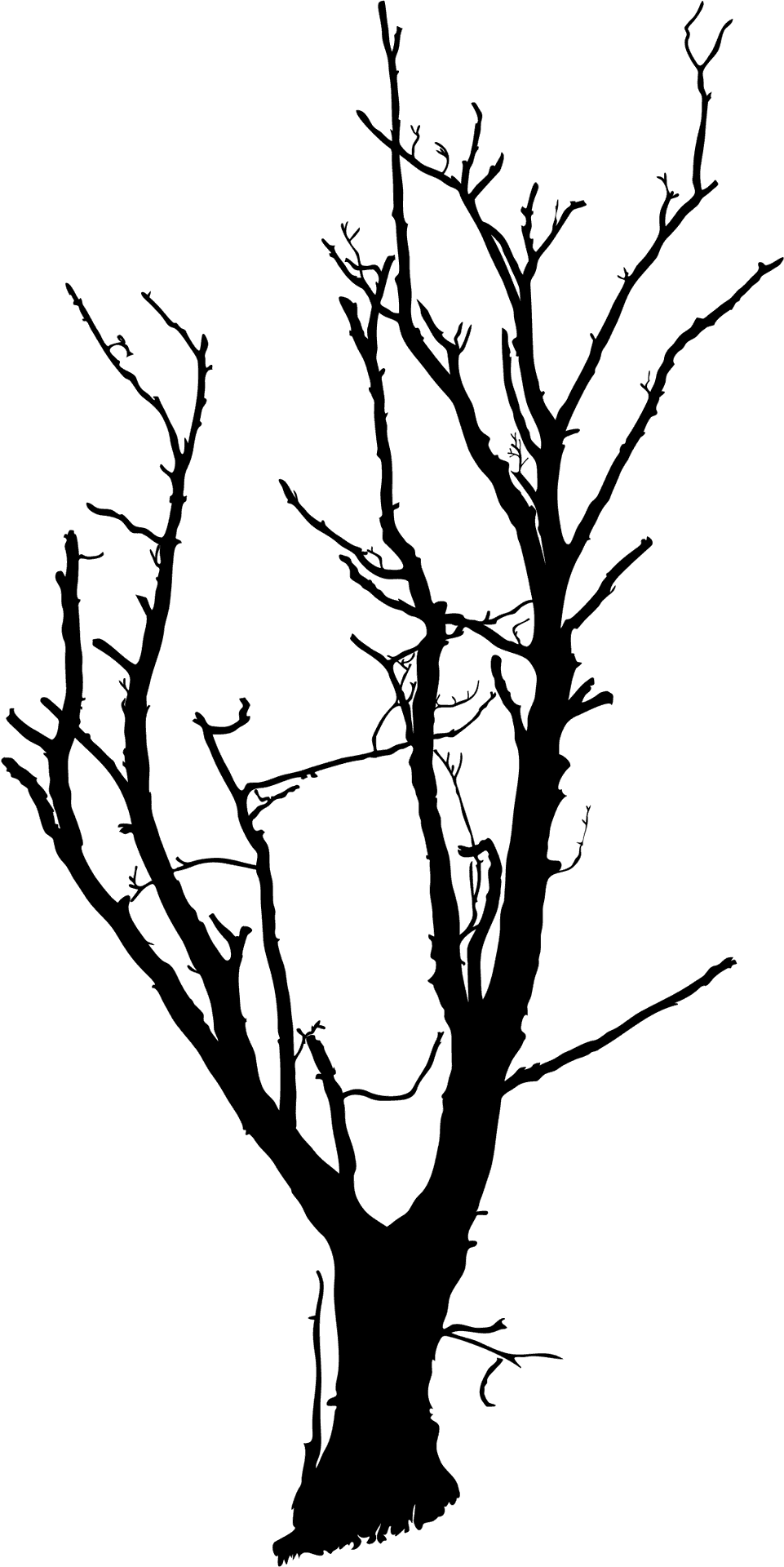 Bare Branches Silhouette PNG