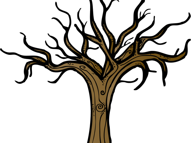 Bare Branches Tree Illustration PNG