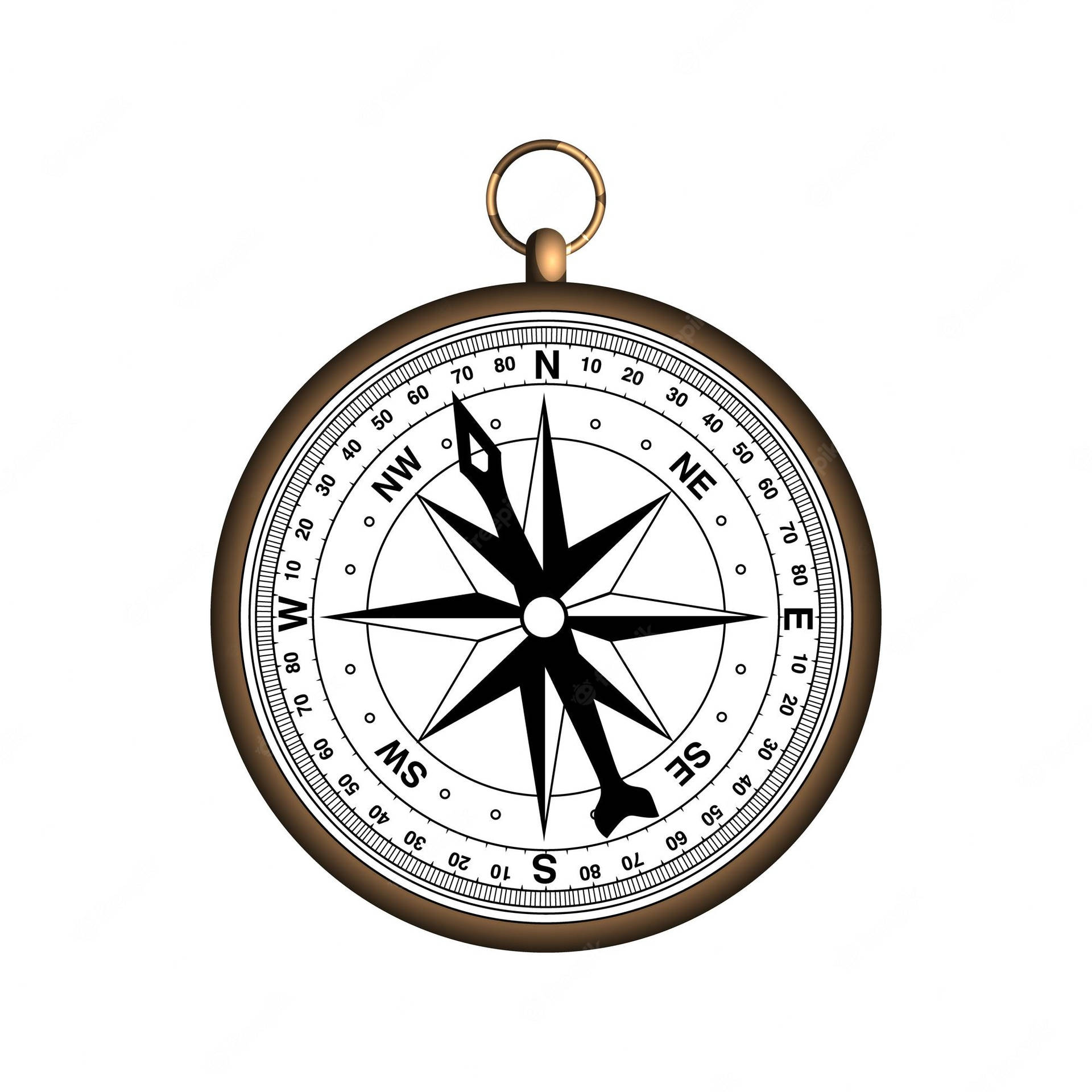 Bare Bronze Directional Compass Wallpaper