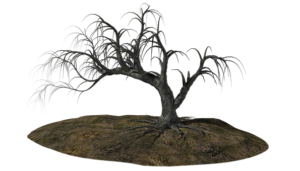 Bare Tree Against Black Background PNG