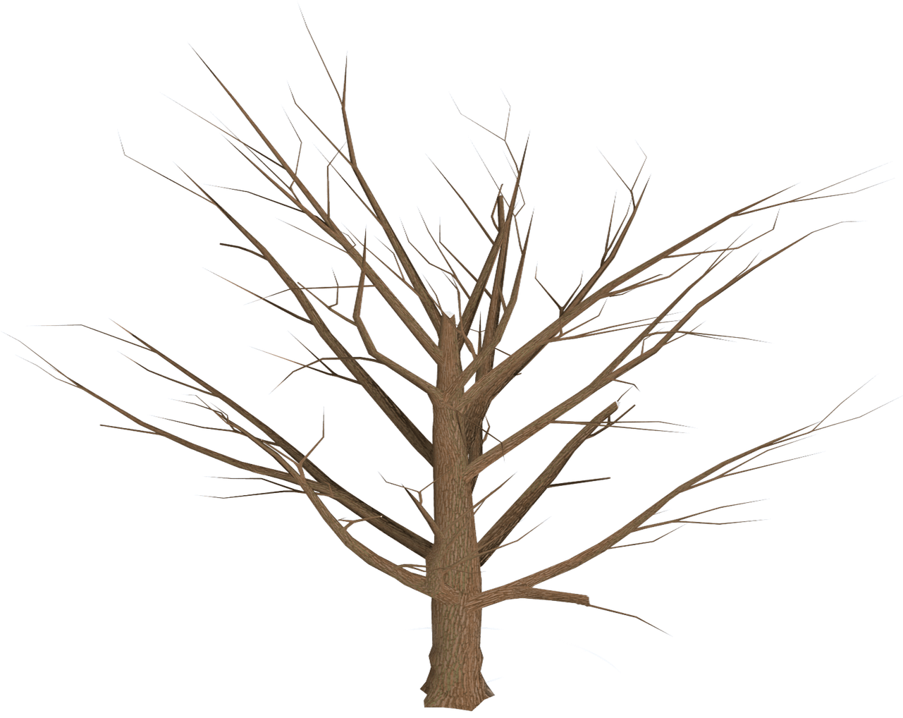 Bare Tree Blue Sky Background PNG