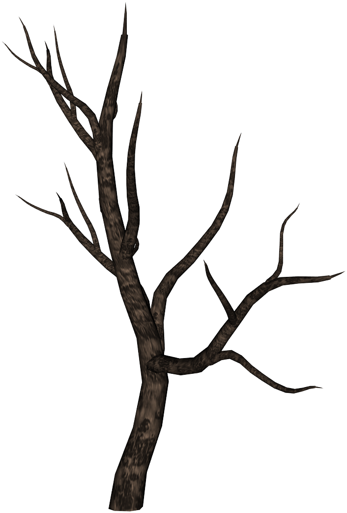 Bare Tree Branch Silhouette PNG