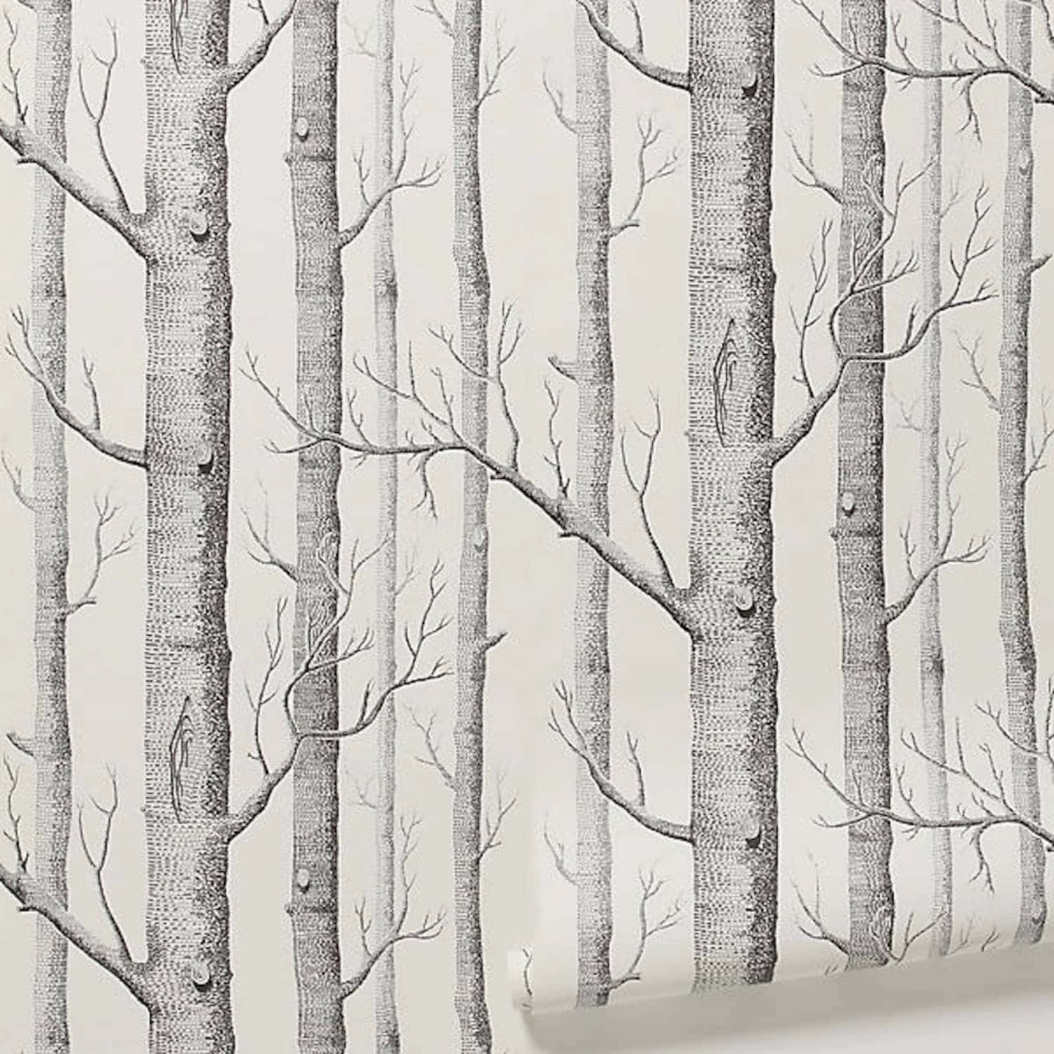 Bare Tree Branches Digital Art Wallpaper