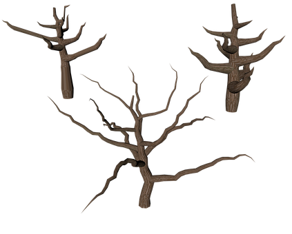 Bare Tree Branches3 D Render PNG