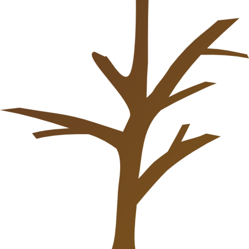 Bare Tree Silhouette PNG