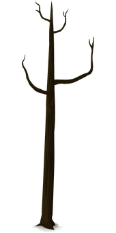 Bare Tree Silhouette Against Dark Background PNG