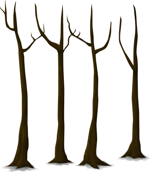 Bare Tree Trunks Illustration PNG