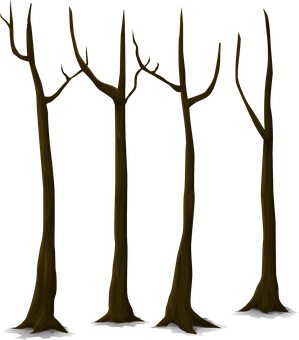 Quatre arbres nus aux branches tordues sur fond noir