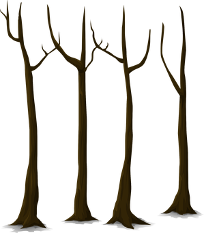 Bare Trees Against Dark Background PNG