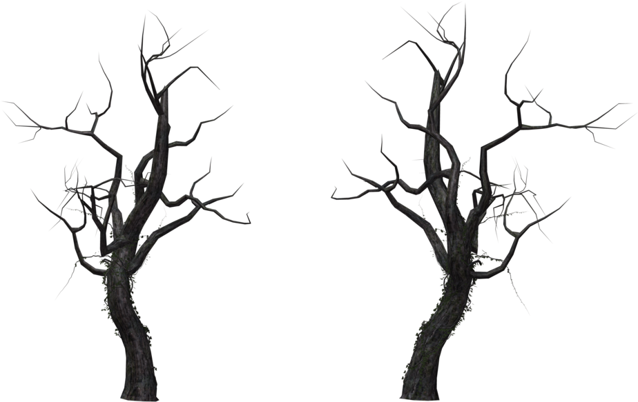 Bare Trees Against Sky PNG
