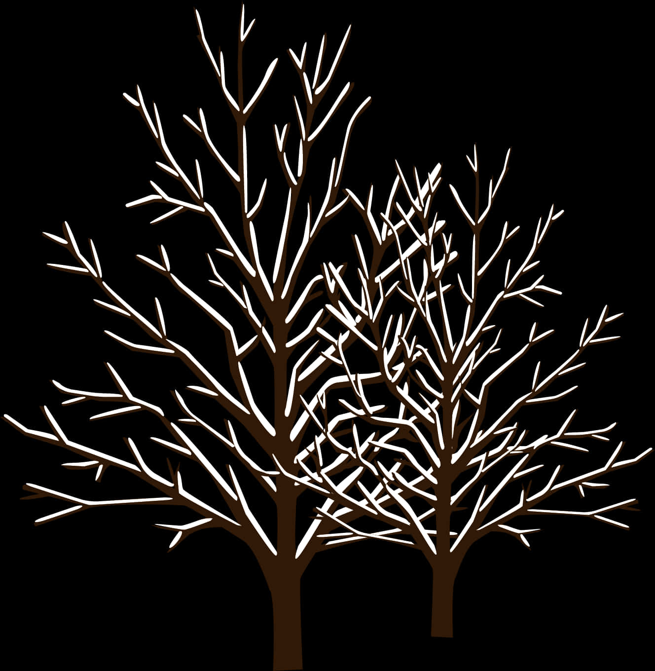 Bare Trees Silhouette Against Dark Background PNG