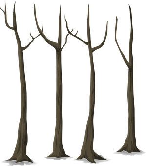 Bare Trees Silhouette PNG