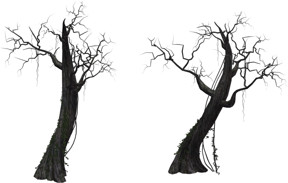 Bare Twisted Trees Silhouette PNG