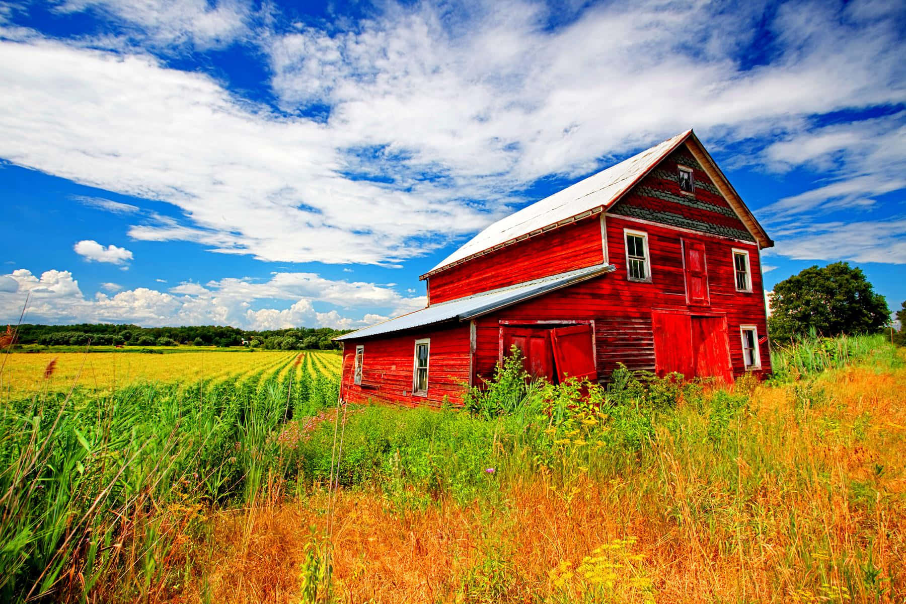 The beauty of pastoral life - a traditional rustic barn