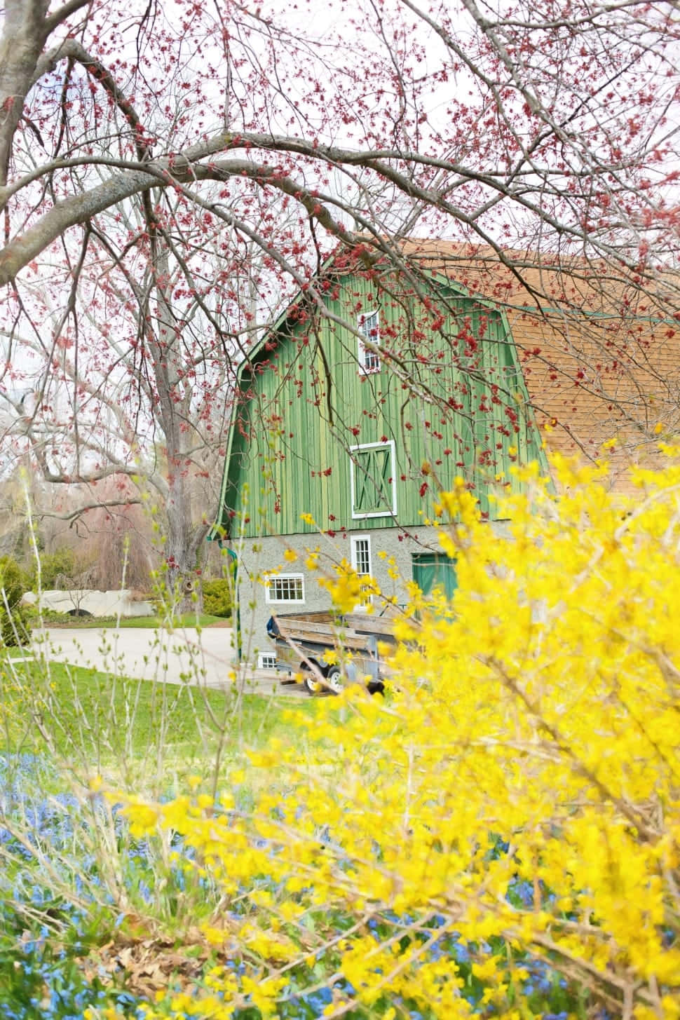 A Green Barn With A Yellow Flower