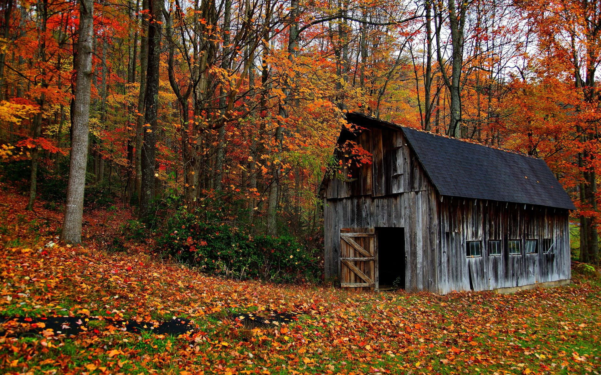 "A peaceful landscape featuring a traditional barn"