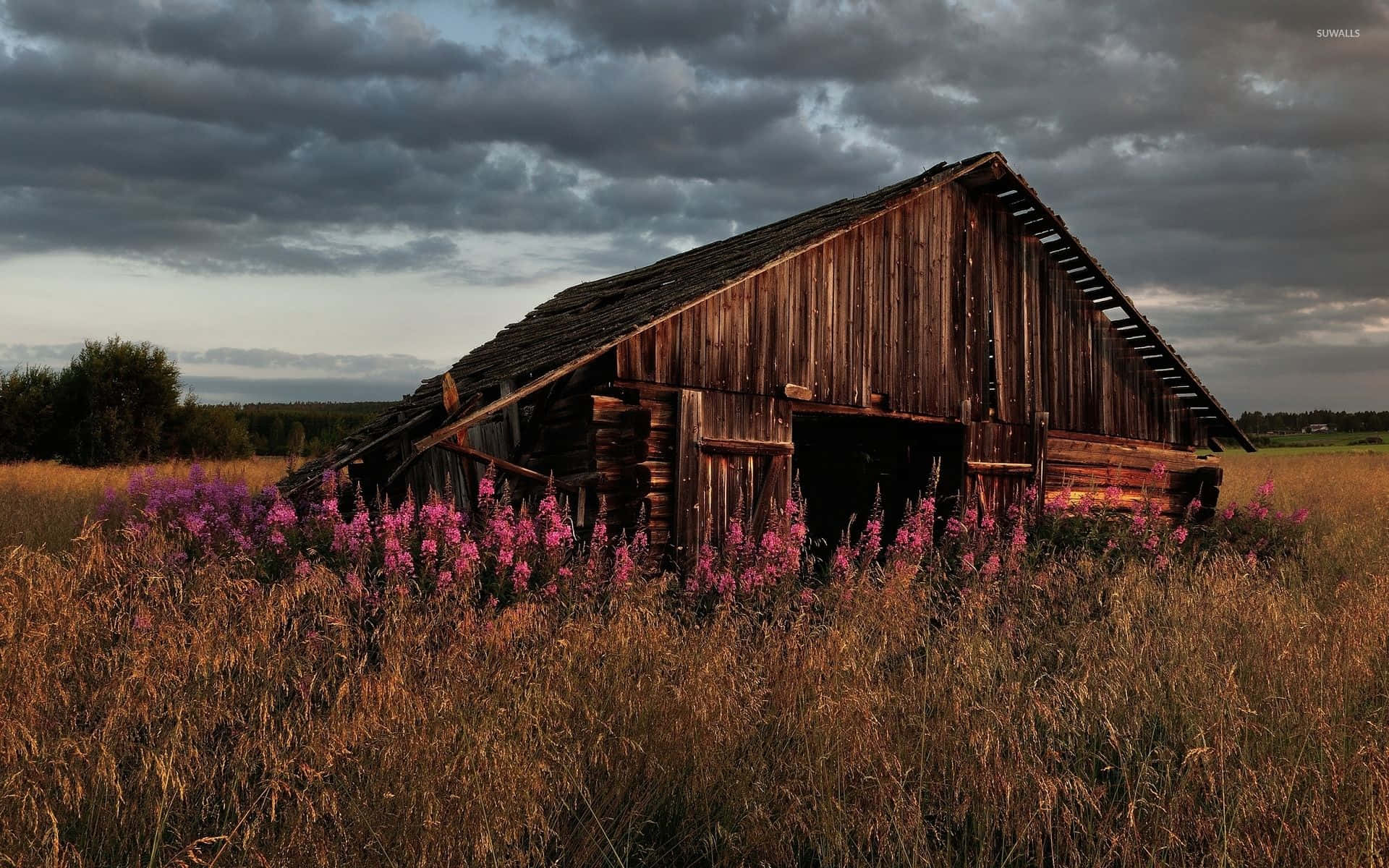 A rustic red barn in rural landscape