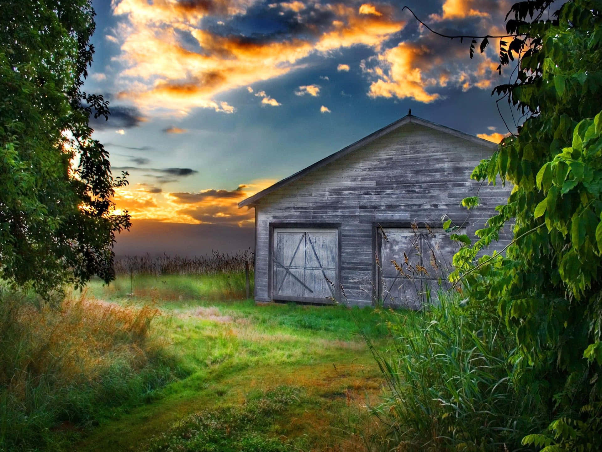 Rustic Charm - A View of a Barn at Sunrise