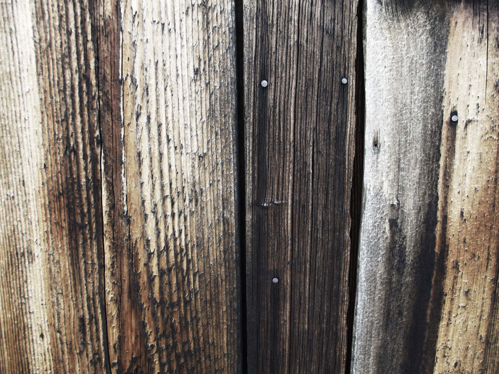 "Back to Nature: Close Up of a Weathered Barn Wood Wall" Wallpaper