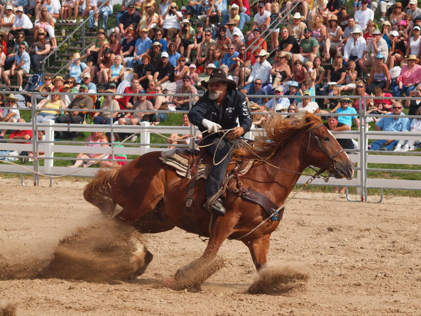 "Focusing on the finish line: Barrel racing at its best" Wallpaper