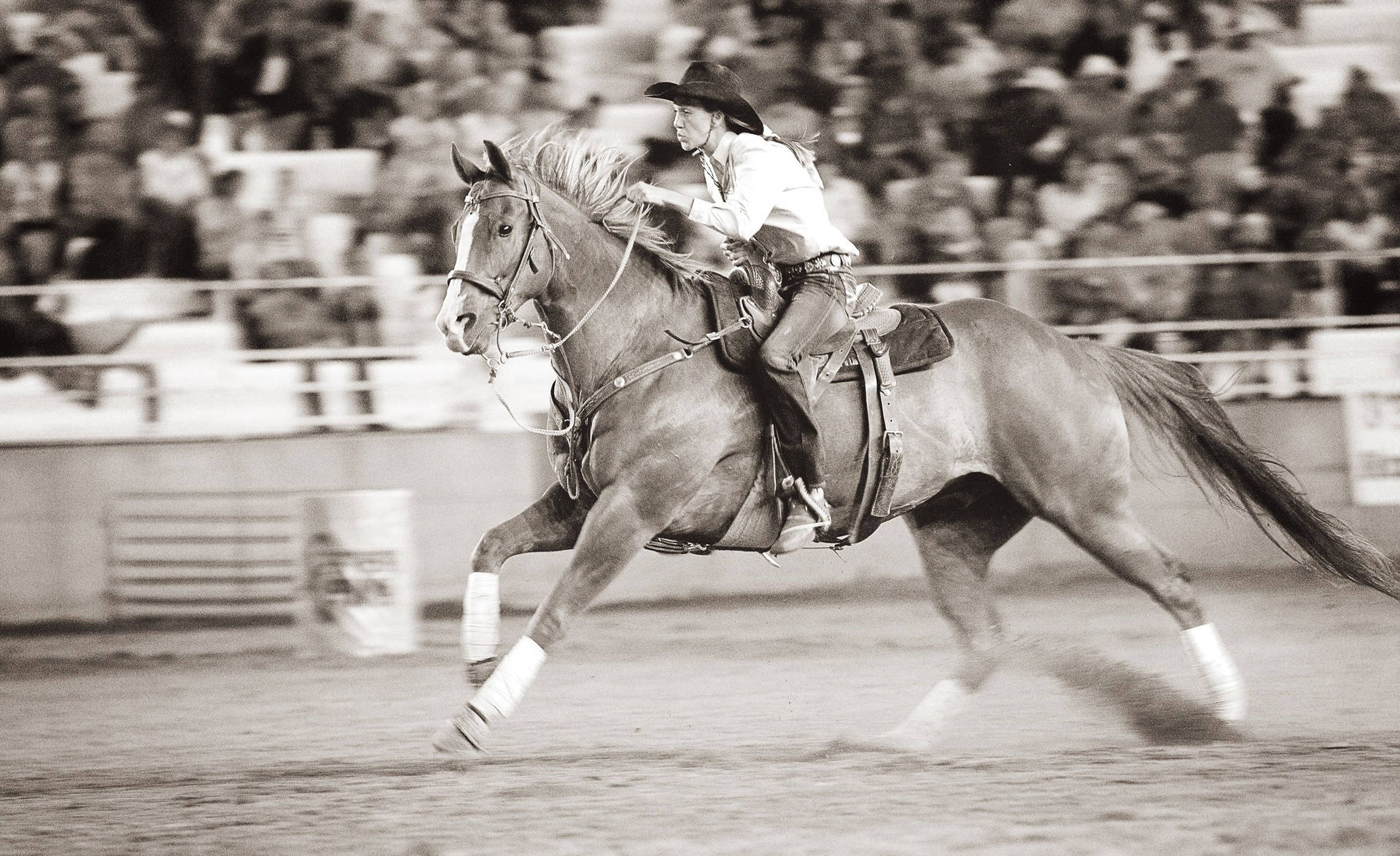 Vintage Cowgirl Quarter Horse Barrel Racing Event Wallpaper