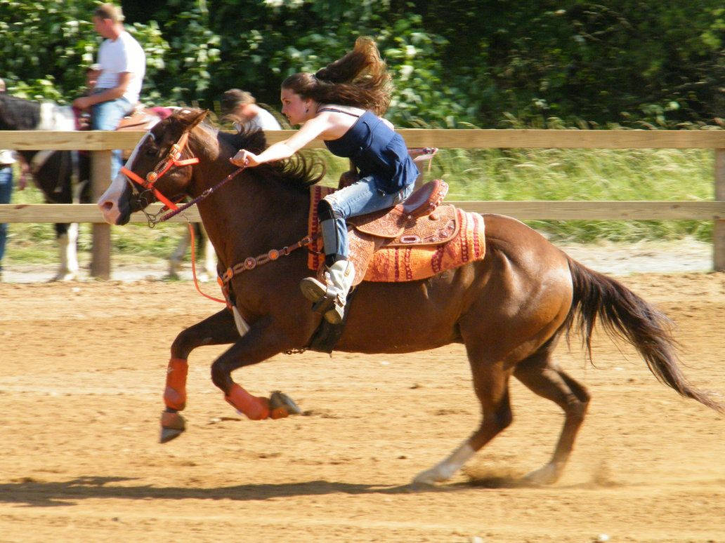 Kvinde Rides Quarter Horse Forberedelse til Barrel Racing Wallpaper