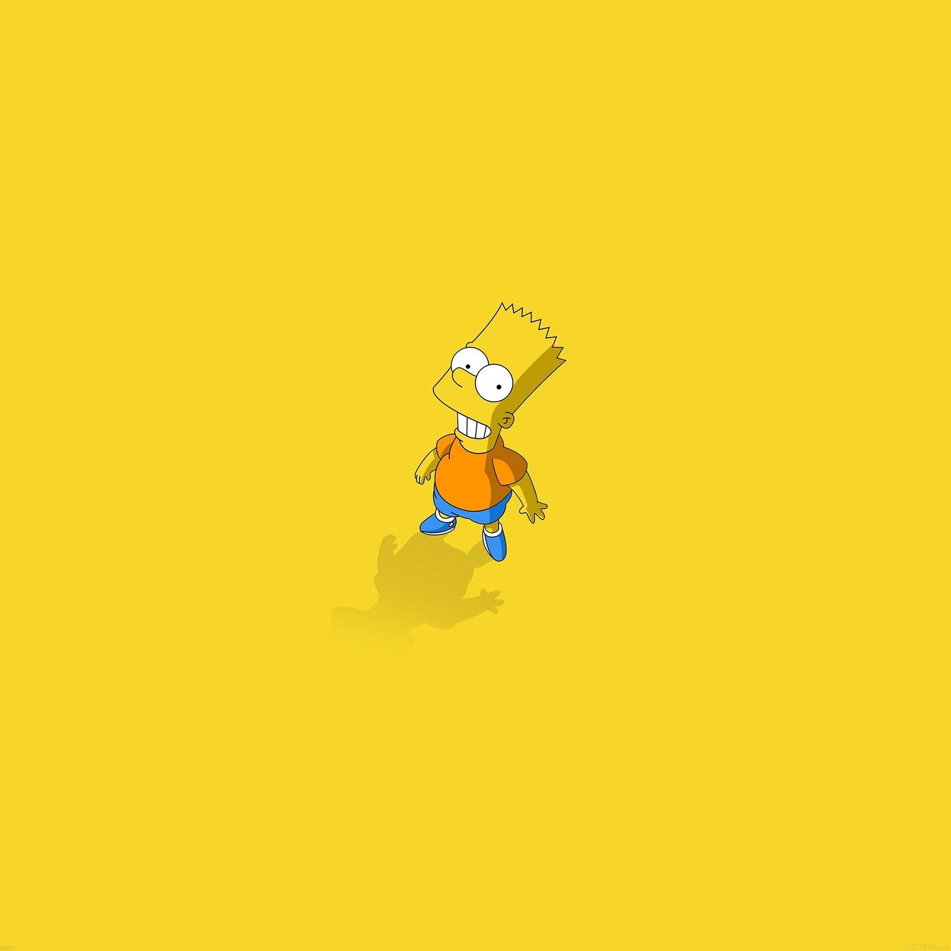 Wacky and Wild with Bart Simpson Wallpaper