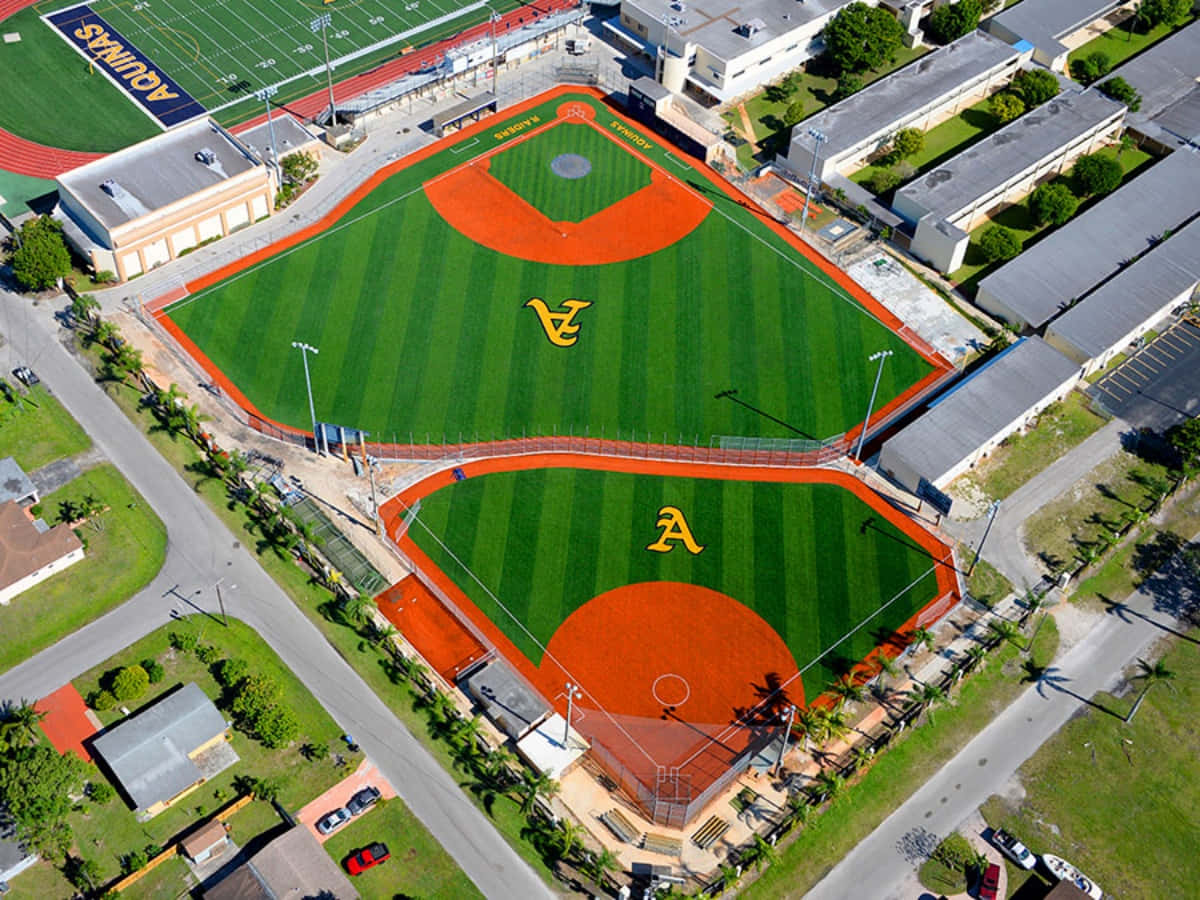 A Close Look at a Baseball Field