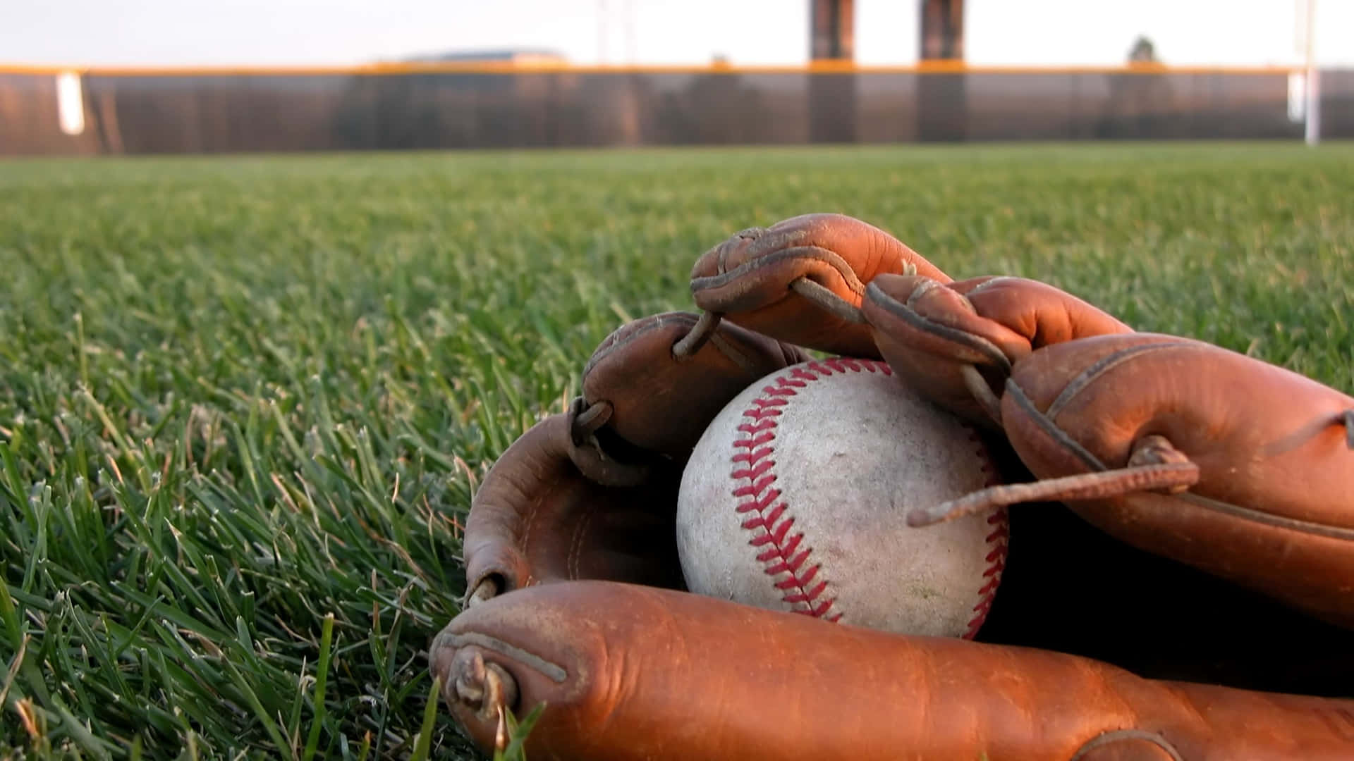 A collection of baseball gloves on display in various colors and sizes Wallpaper