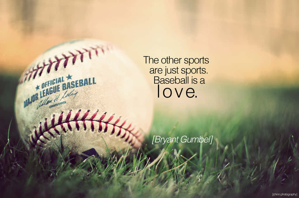 Pics For Gt Baseball Quote Wallpaper Iphone Baseball Quotes Wallpaper  Border For Iphone Bedroom Wallpapers Android Murals Walls Ipad Home Quote   फट शयर