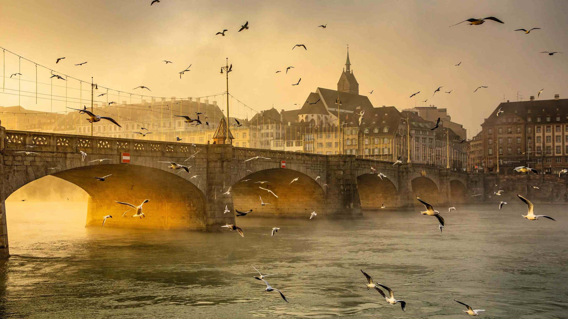 Basel Mittlere Bruecke Dawn Seagulls Wallpaper