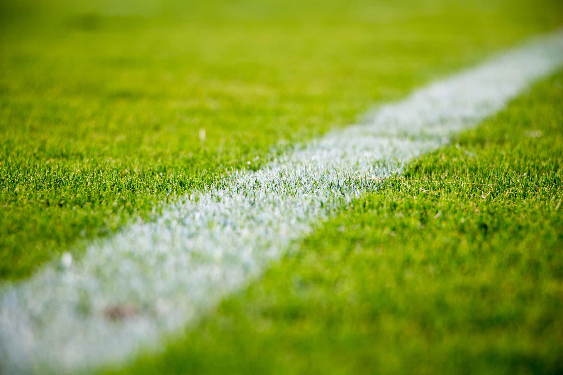 Basic Close Up Of Football Field Line Picture
