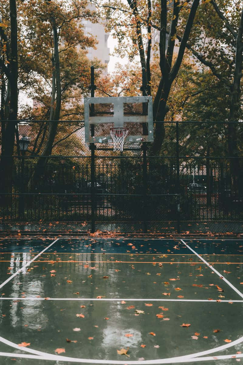 Play your jump shots and lay ups in this immaculately groomed basketball court.