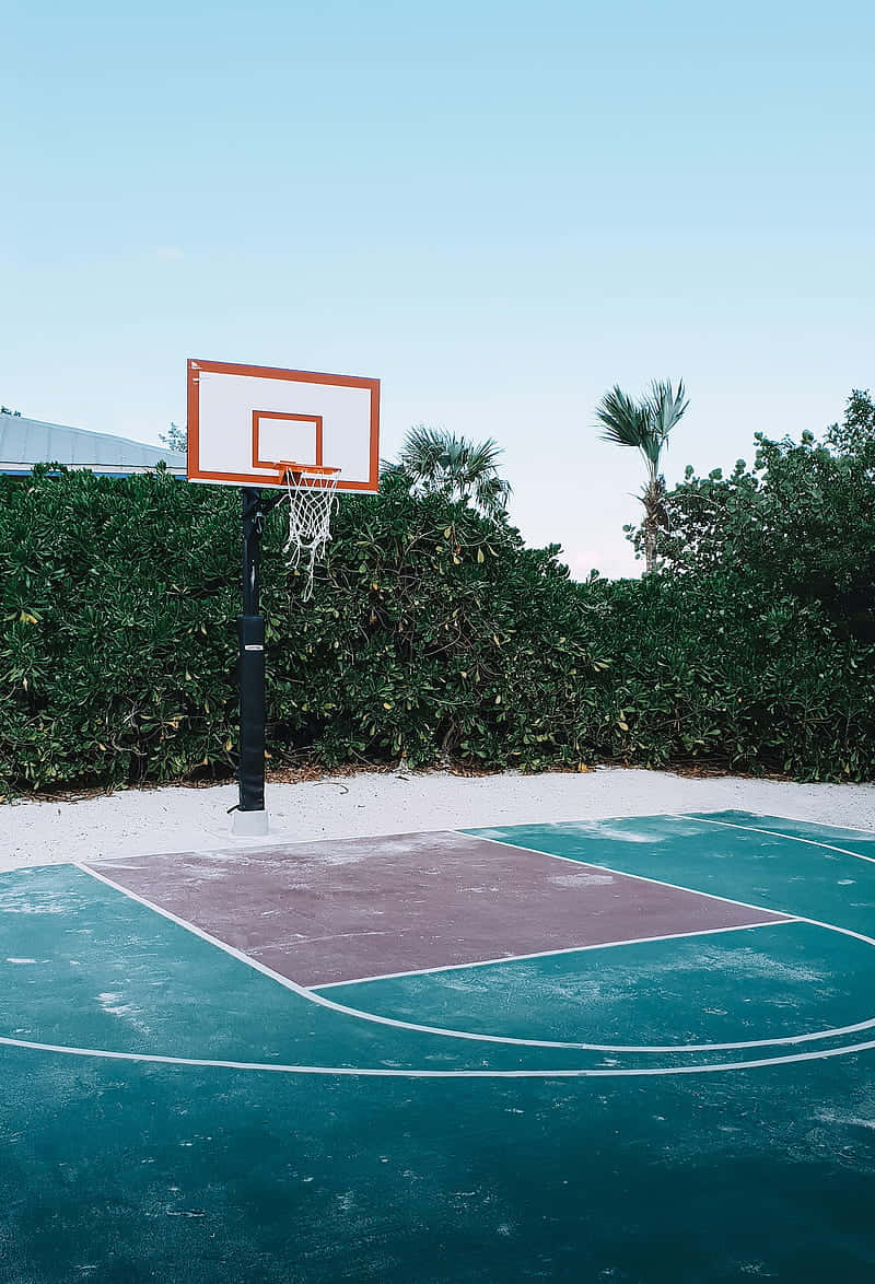 Perfectly manicured Basketball Court