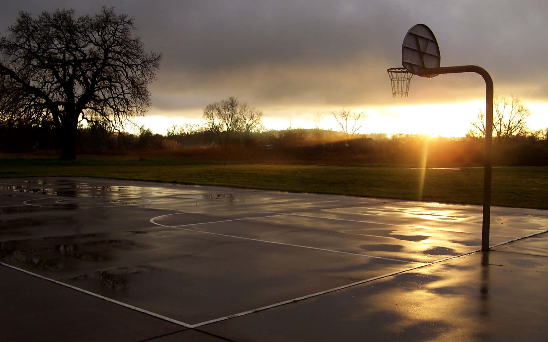 Basketball Court - a Gift for Every Basketball Player