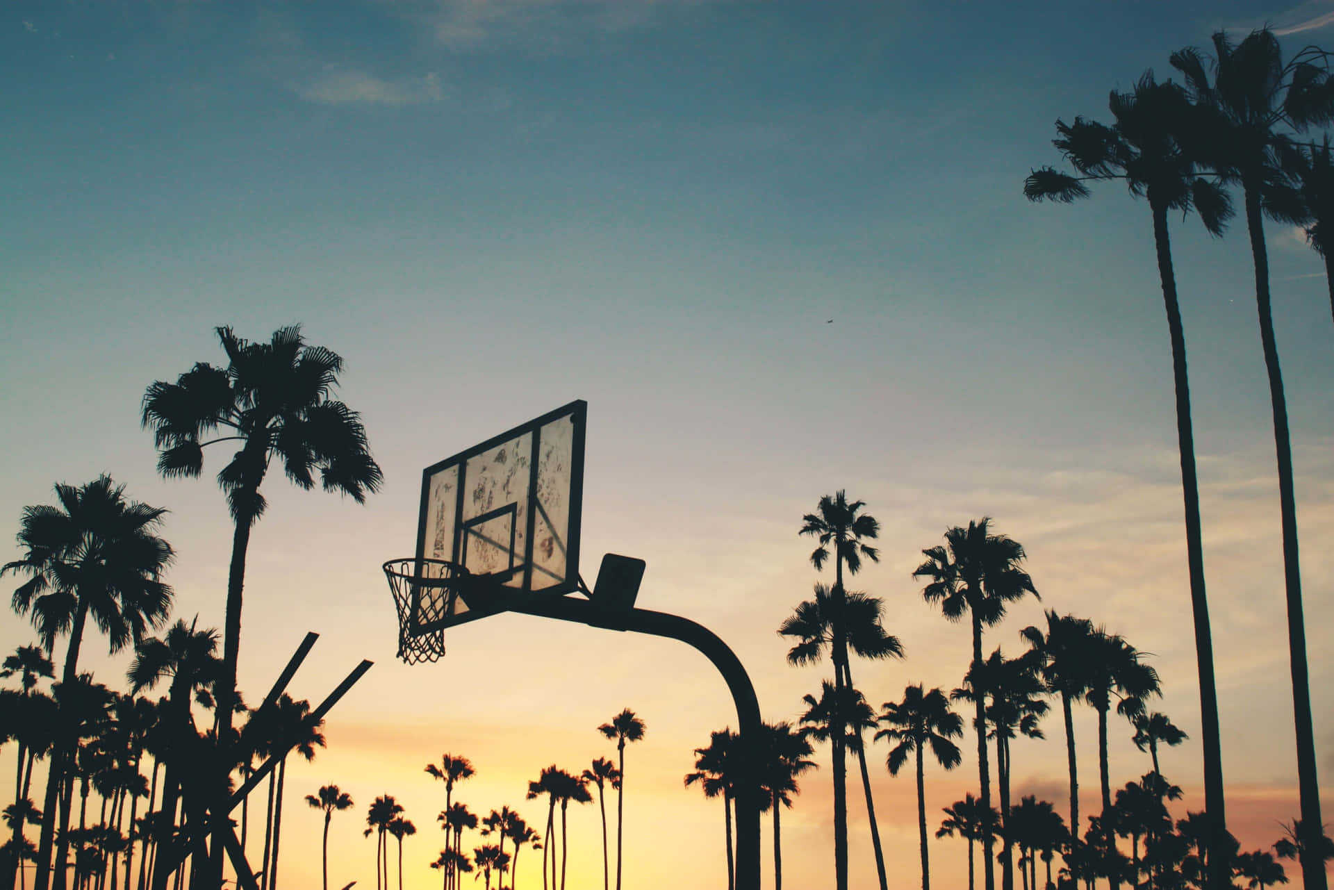 Basketball Hoop Sunset Palms Wallpaper