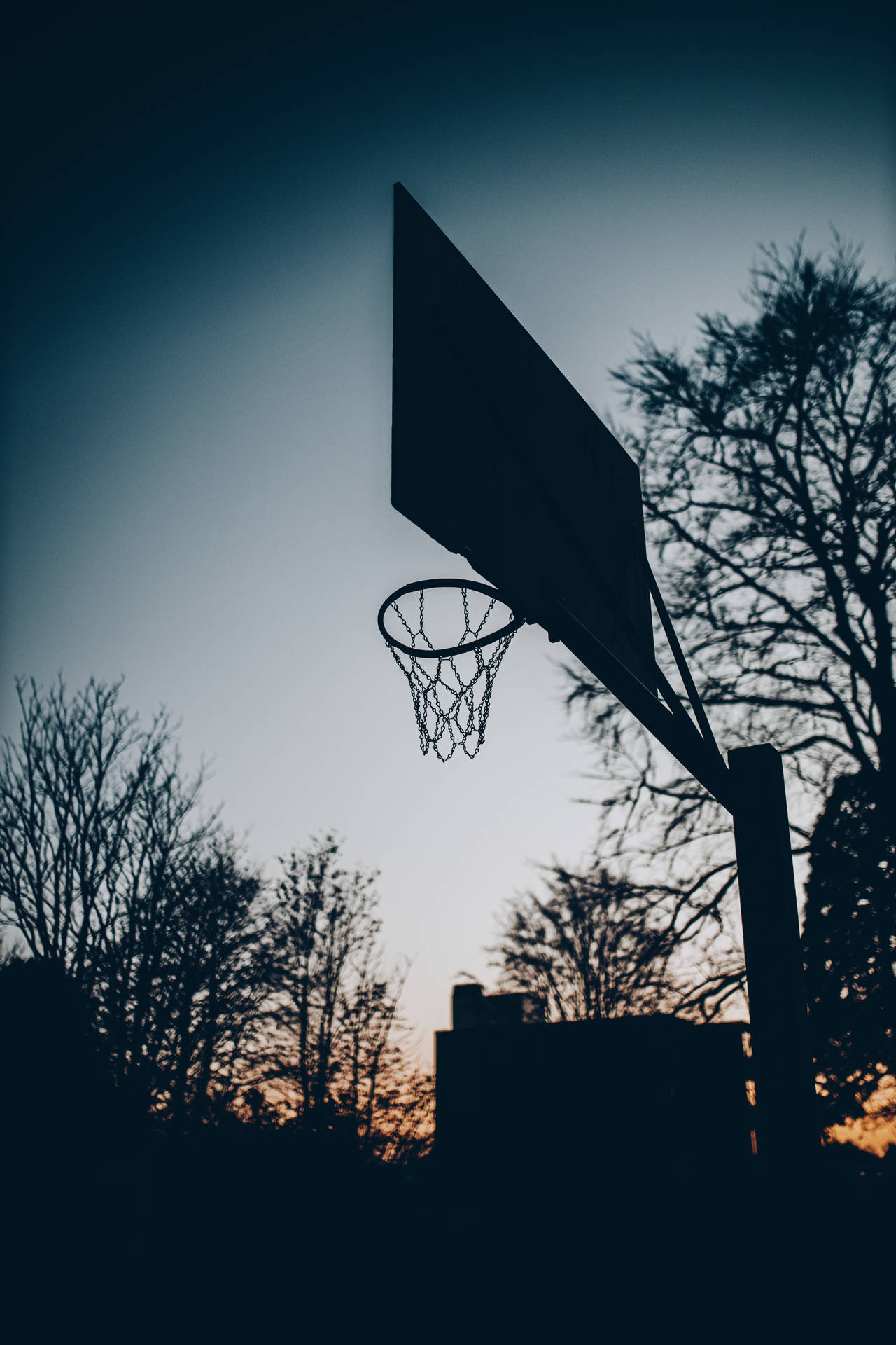 Basketball Hoop Trees Silhouettes Wallpaper