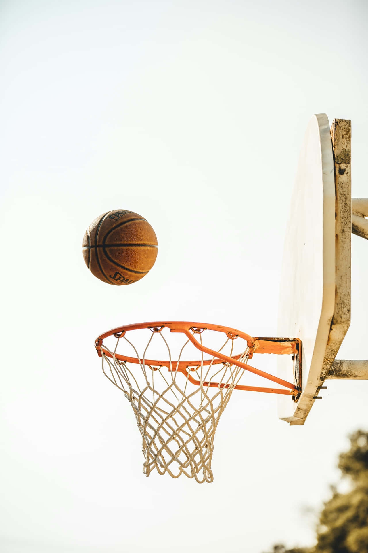 Basketball Mid Air Shot Towards Hoop.jpg Wallpaper