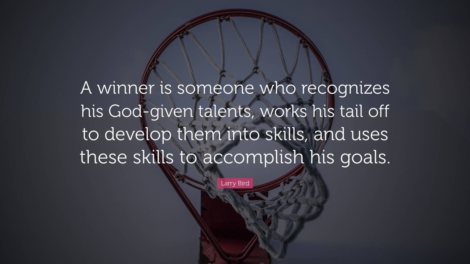 Basketball Motivation Larry Bird Quote